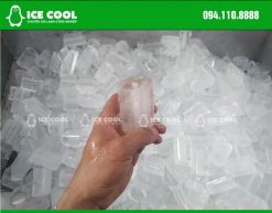 ICE COOL Việt Nam – Đơn vị tư vấn dự án nhà máy sản xuất nước đá hàng đầu hiện nay