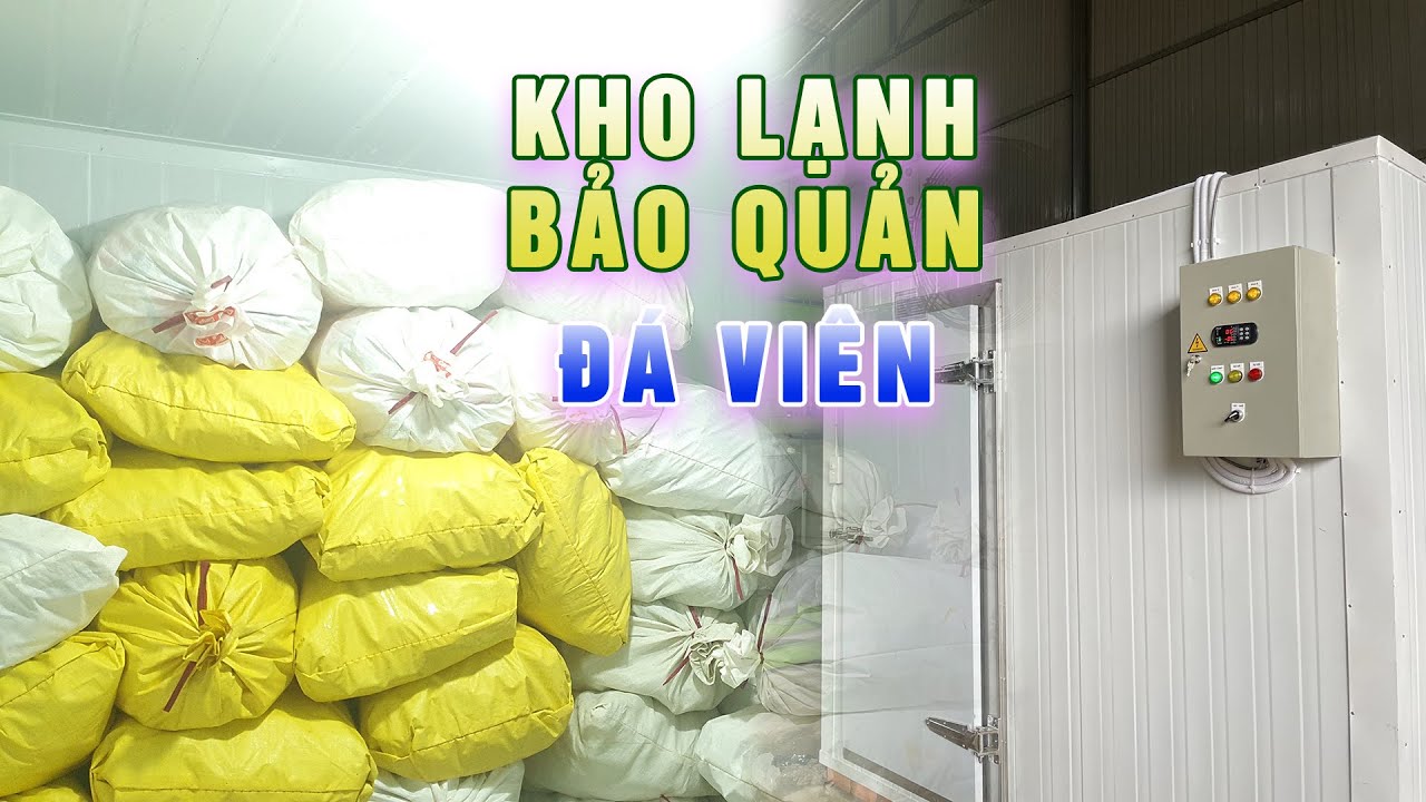 Quy trình Lắp đặt kho lạnh bảo quản đá viên