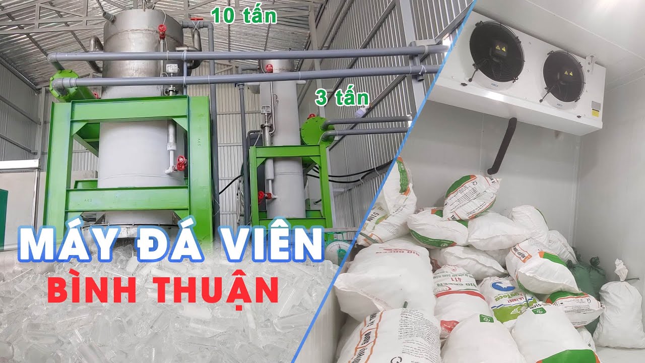 Lắp đặt nhà máy đá viên tại Bình Thuận