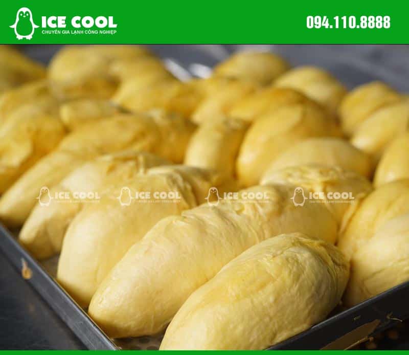 Sầu riêng được cấp đông nhanh trong máy cấp đông ICE COOL