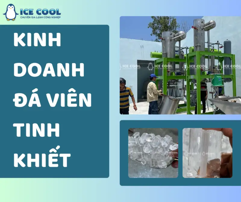 Kinh doanh đá viên tinh khiết
