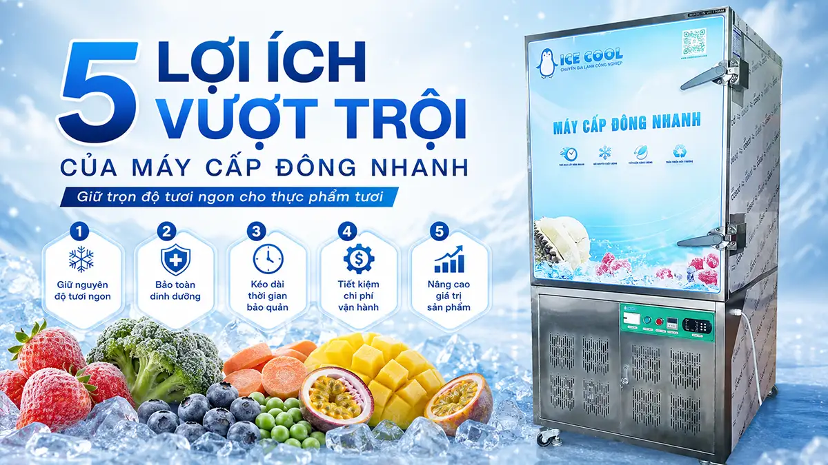 5 lợi ích của máy cấp đông nhanh thực phẩm tươi mà bạn cần biết