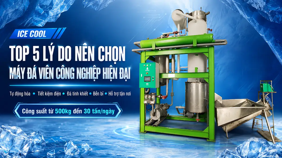 Top 5 lý do nên chọn máy đá viên công nghiệp hiện đại ICE COOL