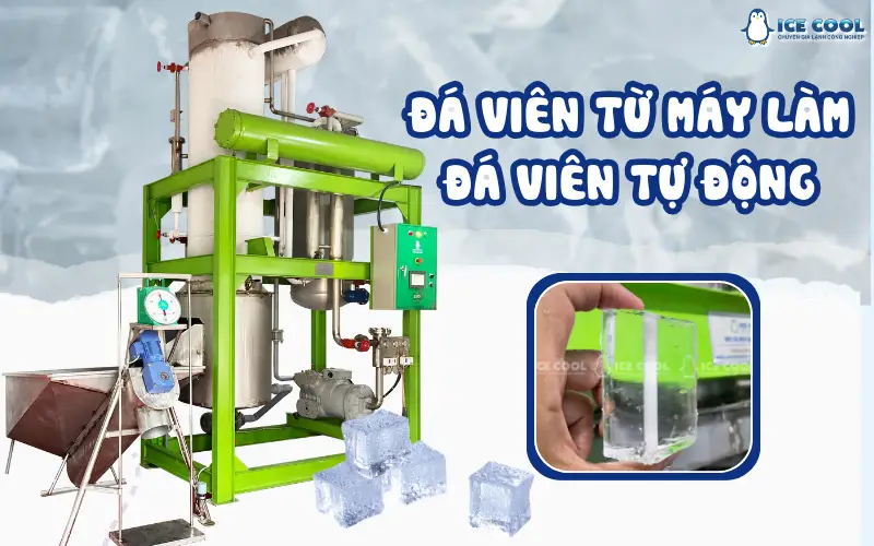 Kinh doanh đá viên từ máy làm đá viên tự động