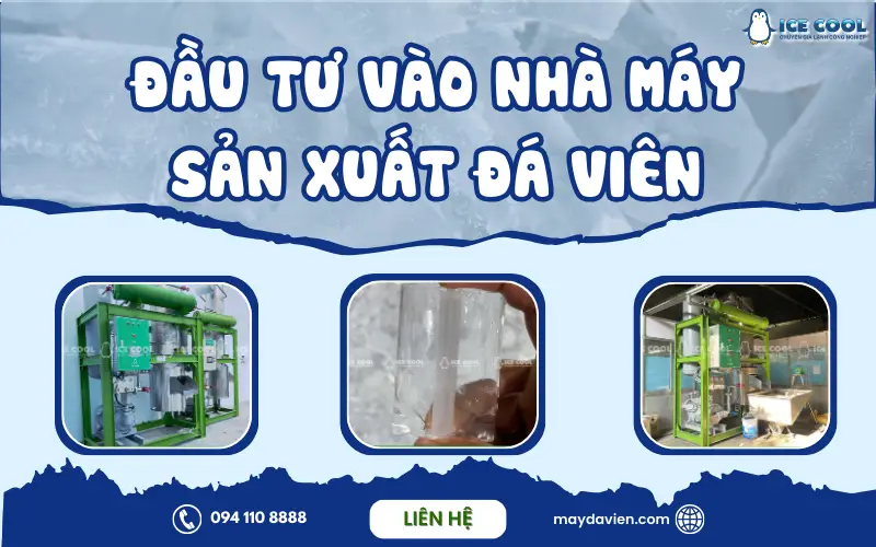 Kinh nghiệm thực tế khi đầu tư vào nhà máy sản xuất đá viên quy mô nhỏ và lớn