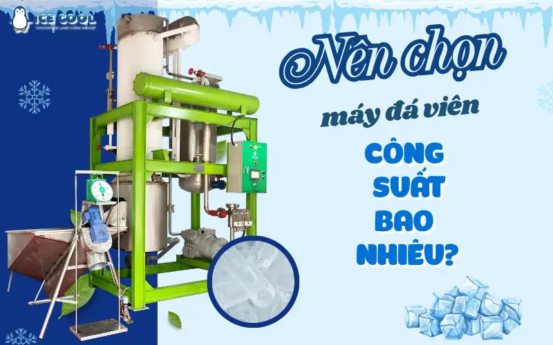Nên chọn máy đá viên công suất bao nhiêu để đáp ứng nhu cầu kinh doanh hiệu quả?