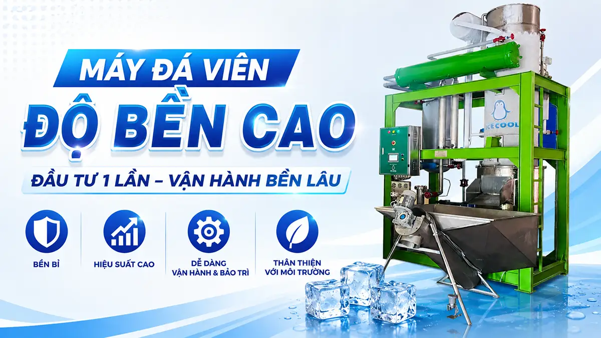 Đầu tư máy đá viên với độ bền cao: Tại sao là lựa chọn khôn ngoan?
