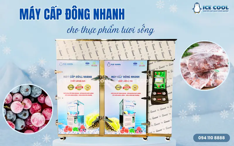 Vì sao doanh nghiệp nên đầu tư máy cấp đông nhanh cho thực phẩm tươi sống?
