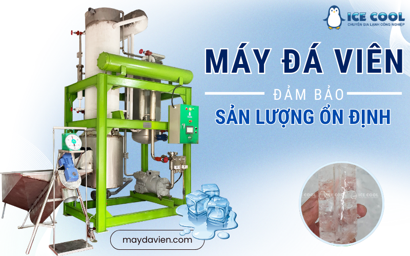 Đầu tư máy làm đá viên đảm bảo sản lượng ổn định kết hợp kho lạnh – Giải pháp toàn diện