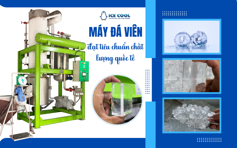 Máy đá viên đạt tiêu chuẩn chất lượng quốc tế – Bảo chứng cho an toàn và vệ sinh thực phẩm