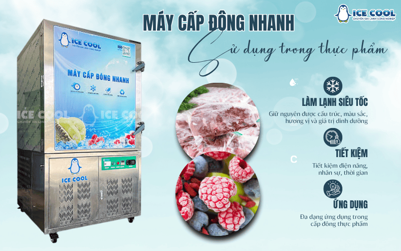 Đầu tư máy cấp đông nhanh sử dụng trong thực phẩm