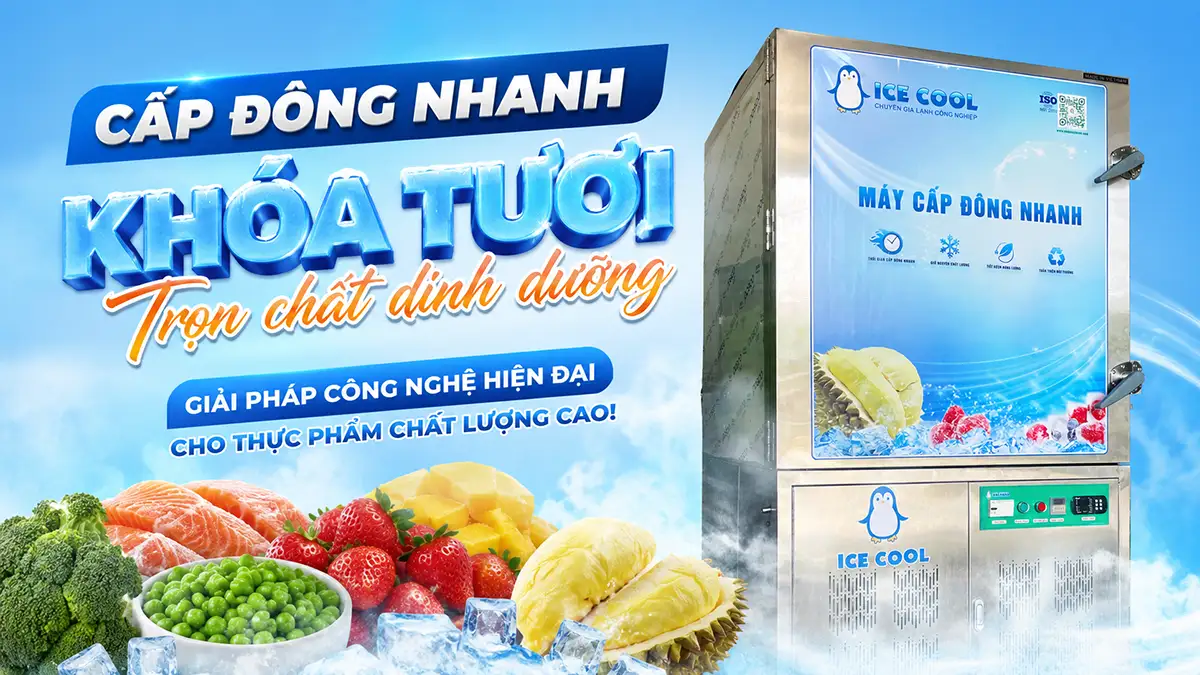 Máy cấp đông nhanh giữ chất lượng thực phẩm trong chuỗi cung ứng lạnh – Hiệu quả thực sự ra sao?