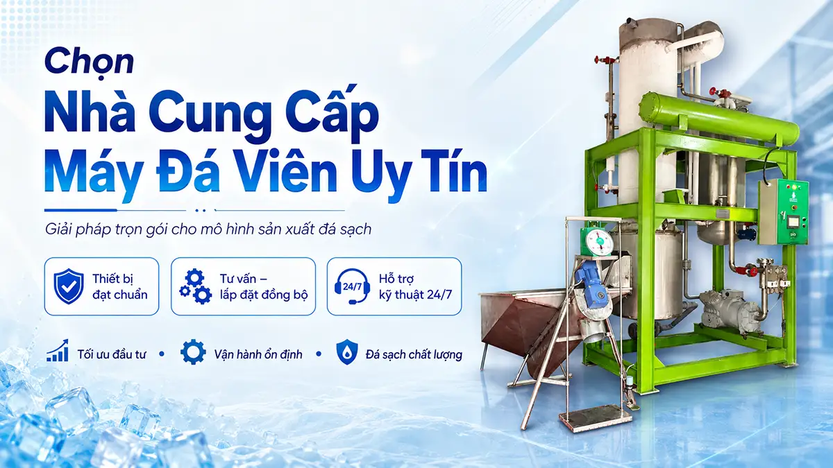 Nhà cung cấp máy đá viên uy tín – Giải pháp toàn diện cho mô hình sản xuất đá sạch