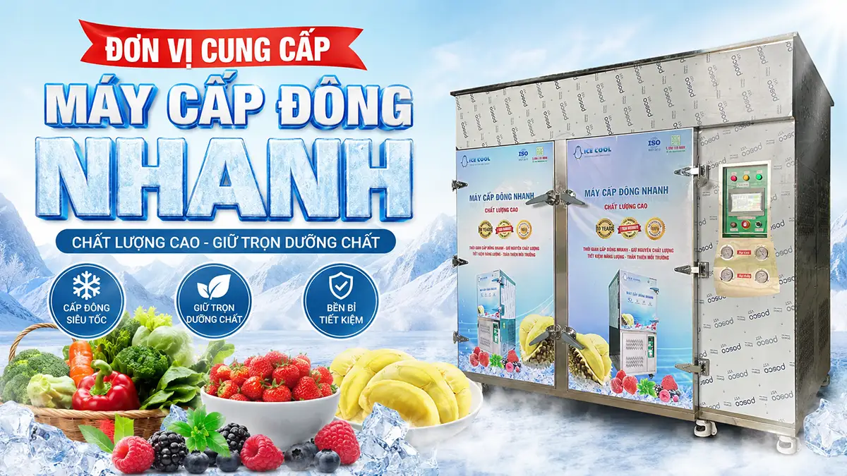 Đơn vị cung cấp máy cấp đông nhanh uy tín cho nhà máy chế biến thực phẩm