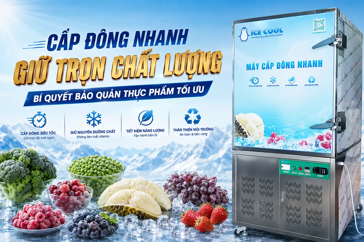 Ứng dụng máy cấp đông nhanh bảo toàn chất lượng thực phẩm trong sản xuất quy mô lớn
