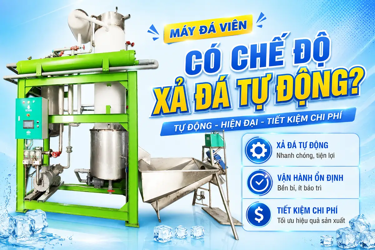Máy đá viên có chế độ xả đá tự động không? Tác động thực tế đến chi phí và nhân công