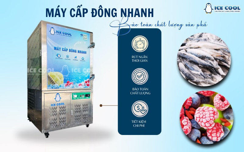 Nâng tầm dây chuyền sản xuất với máy cấp đông nhanh bảo toàn chất lượng sản phẩm