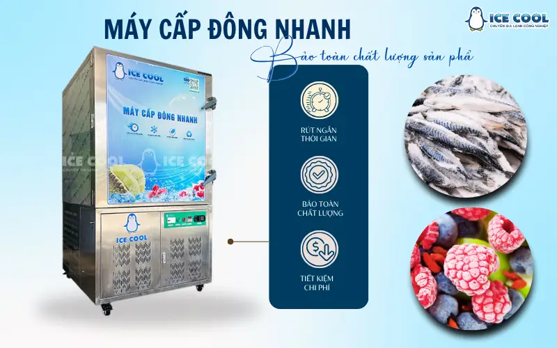 Nâng tầm dây chuyền sản xuất với máy cấp đông nhanh bảo toàn chất lượng sản phẩm