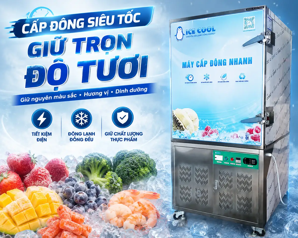 Cấp đông thực phẩm giữ nguyên chất lượng – Yếu tố then chốt trong chuỗi sản xuất hiện đại