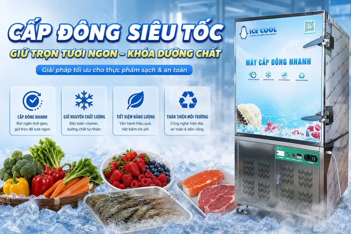 Máy cấp đông siêu tốc cho thực phẩm giúp giữ trọn độ tươi và giá trị dinh dưỡng