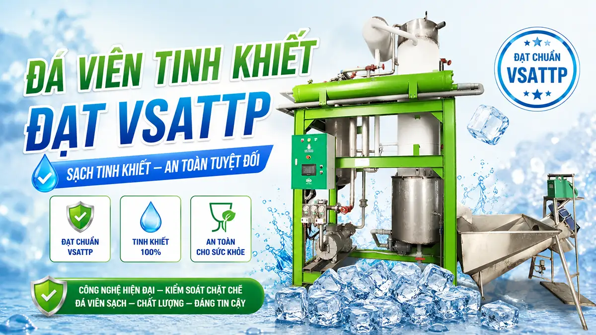 Đá viên tinh khiết đạt VSATTP là gì? Tiêu chuẩn và cách nhận biết