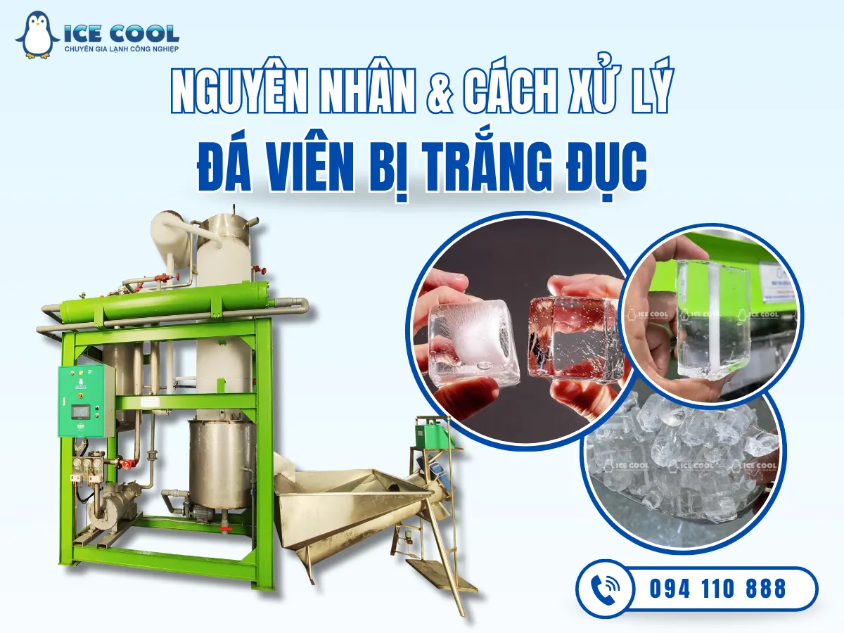 Vì sao đá viên bị trắng đục? Nguyên nhân do đâu, cách xử lý như nào?