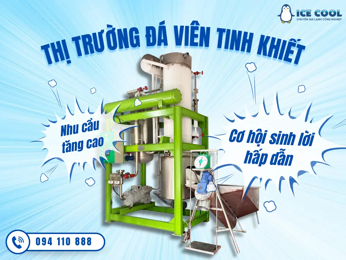 Thị trường đá viên tinh khiết hiện nay - Nhu cầu tăng cao, cơ hội sinh lời hấp dẫn
