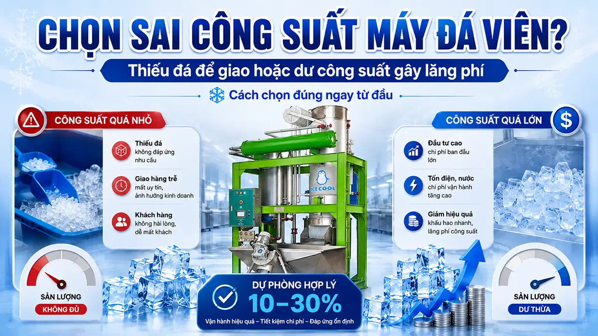 Nhiều cơ sở chọn sai công suất máy đá viên – Cách chọn đúng ngay từ đầu