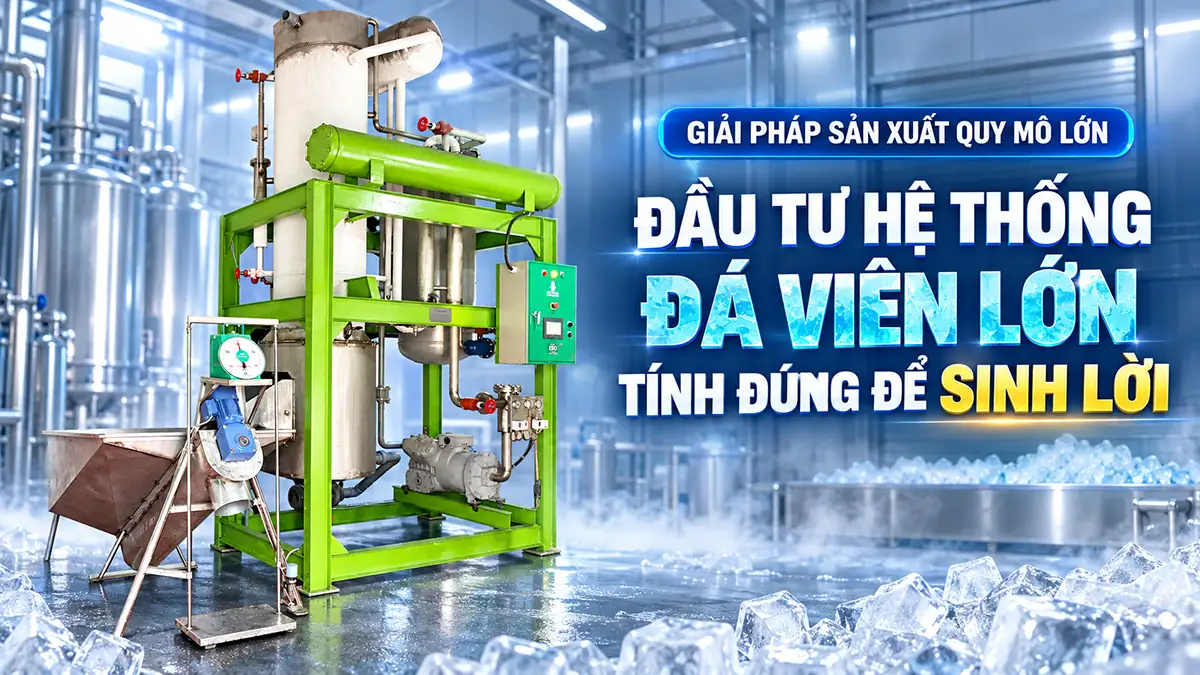 Khi nào nên đầu tư hệ thống đá viên công suất lớn?